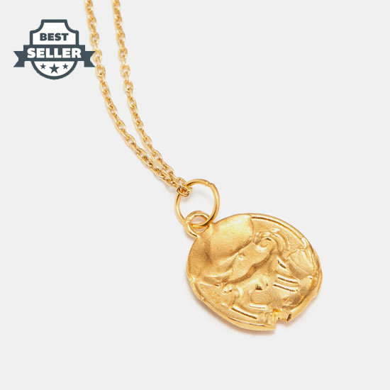 알리기에리 aries 산양 별자리 목걸이 Alighieri Yellow Aries gold-plated necklace